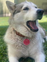 Load image into Gallery viewer, Placa para collar de perro
