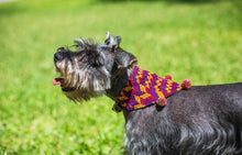 Load image into Gallery viewer, Bandana Chica
