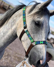 Load image into Gallery viewer, Almartigon para caballos
