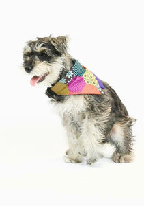Bandana para mascota