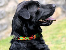 Load image into Gallery viewer, Collar mascota talla M bordado
