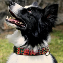 Load image into Gallery viewer, Collar mascota talla M bordado grueso
